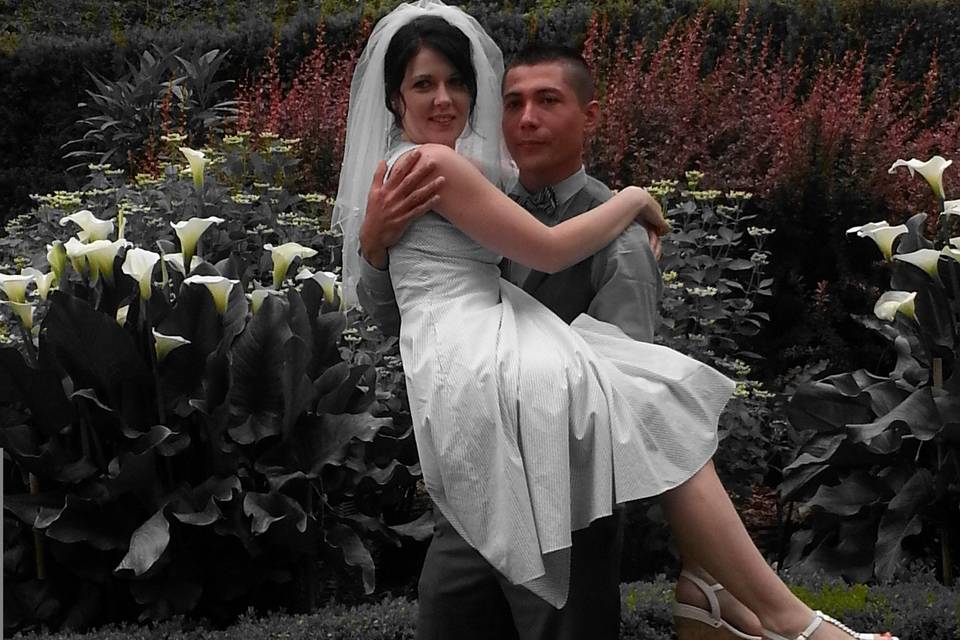 Cassandra's Weddings