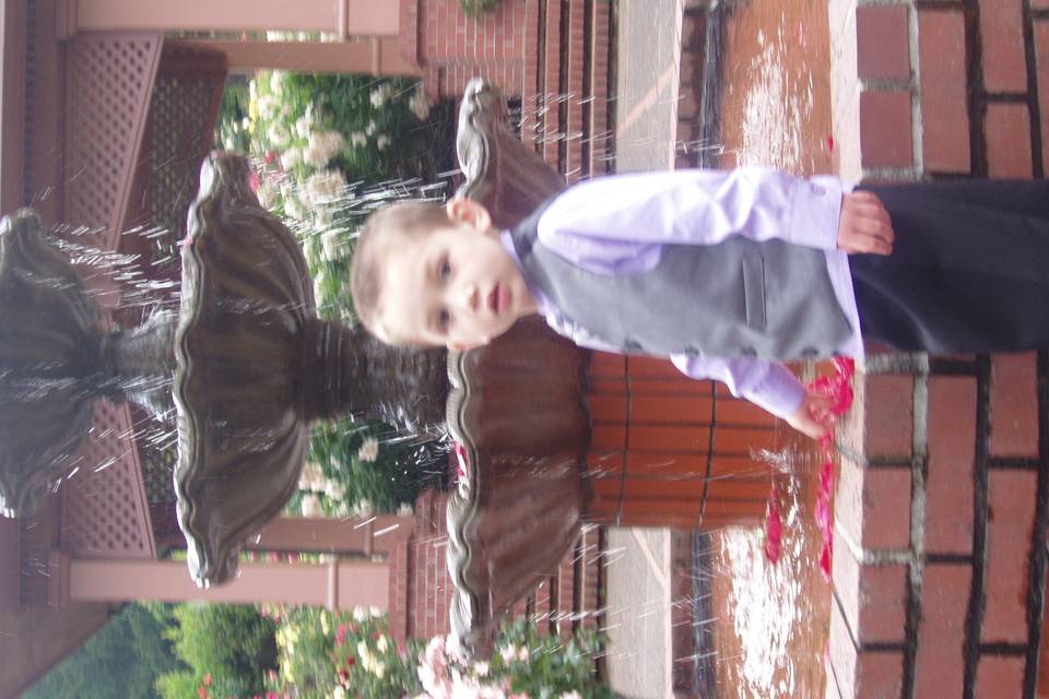 Cassandra's Weddings