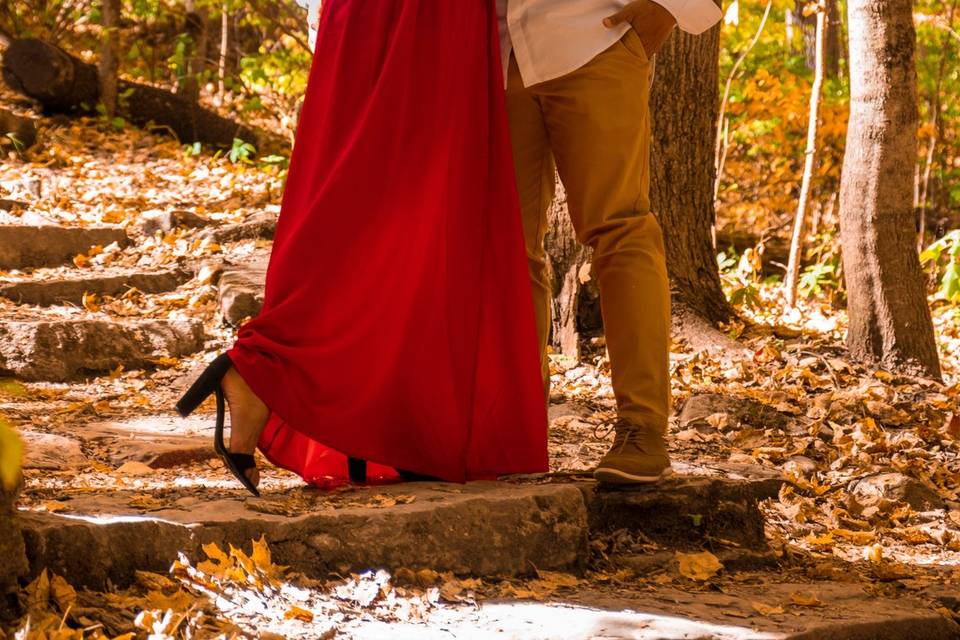 Monarch Photography