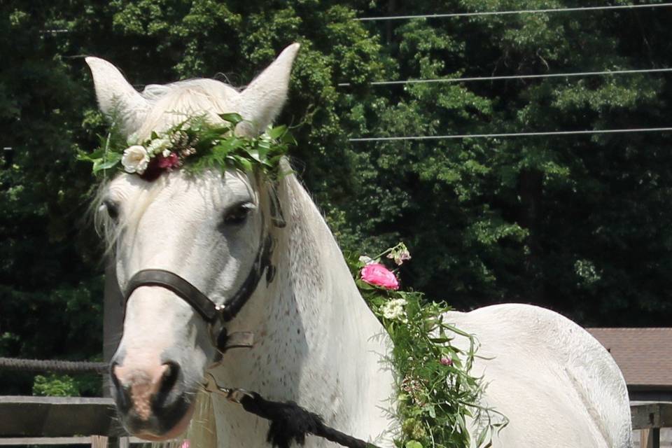 Peace of Serenity Ranch Floral