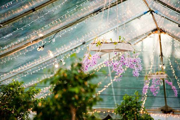 Hanging orchid chandeliers