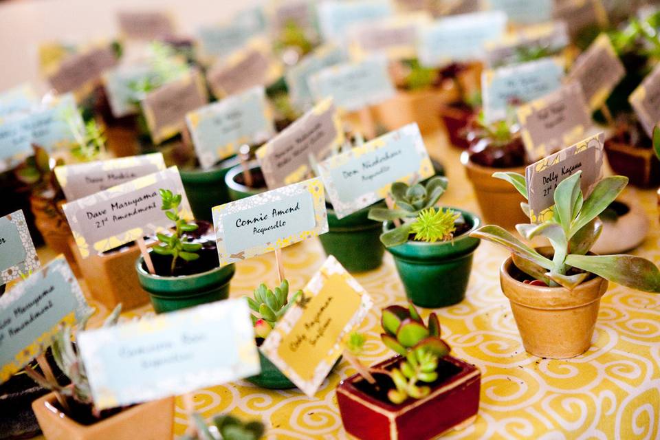 Succulent escort cards/favors