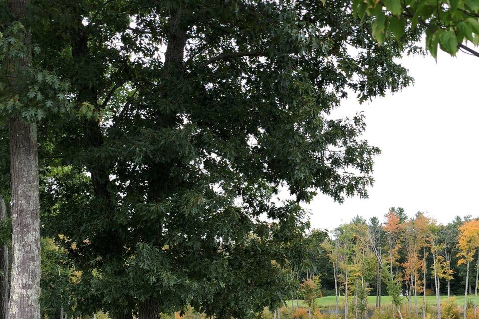 Oaks Fall Wedding