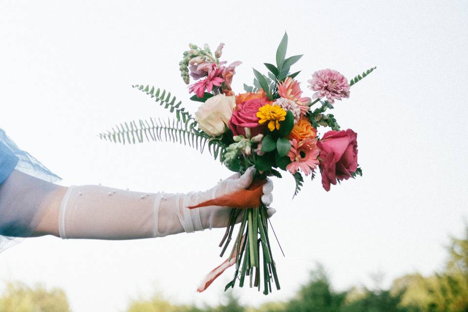 Dana Estes Photography