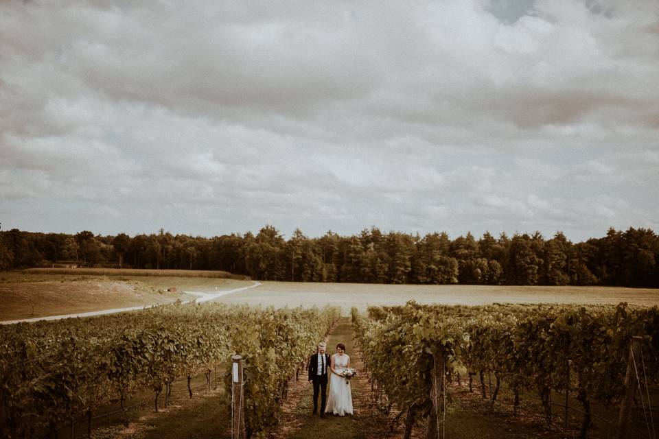 New hampshire vineyard wedding