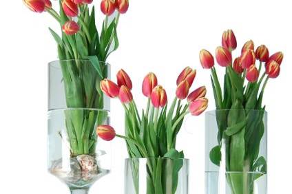 Cylinder Stemware Vase (Candle Holder): For Wedding Event, Floral Arrangement, floral glass vases.
Website: http://www.GlassVasesDepot.com