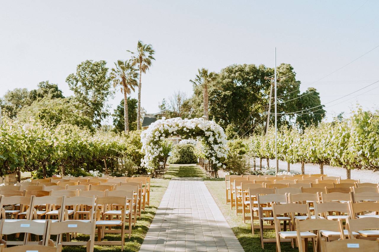 Scribner Bend Vineyards - Winery Weddings - Sacramento, CA - WeddingWire