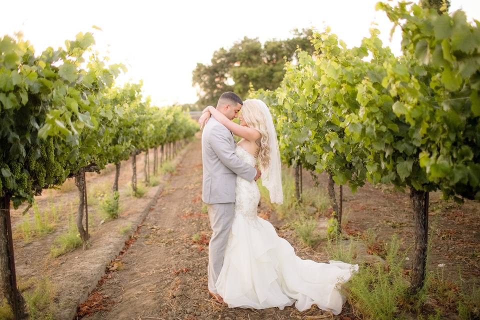 Love Among the Vines