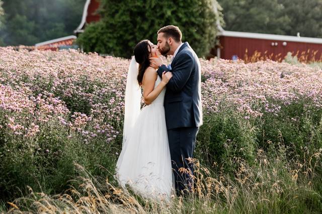 Field in-front of barn