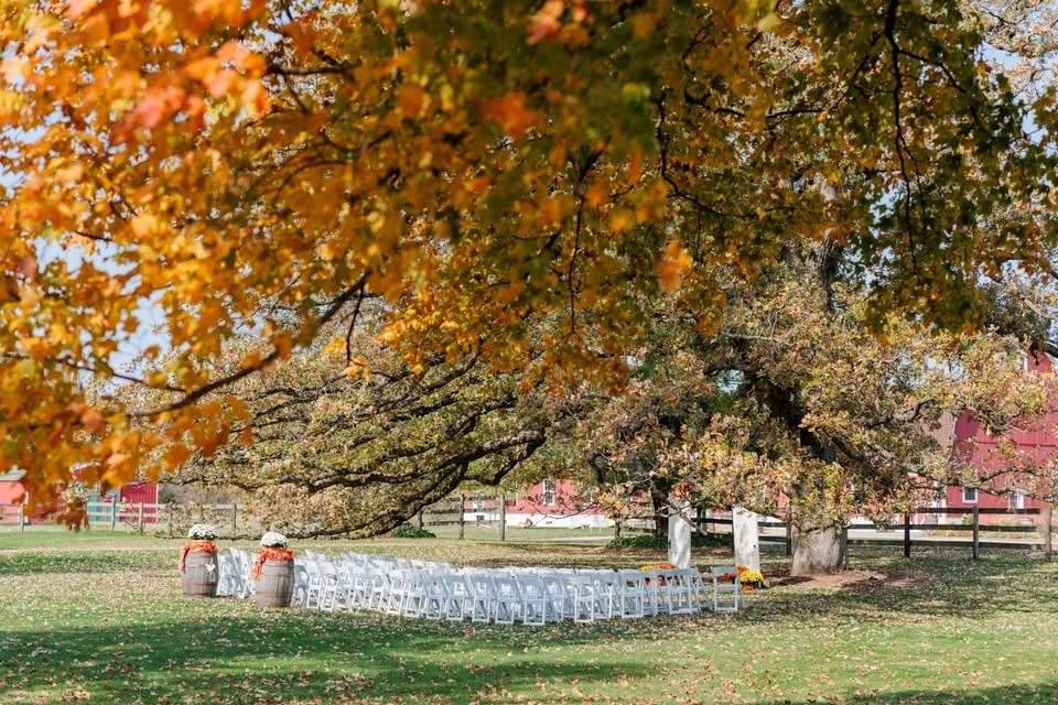 Early fall
