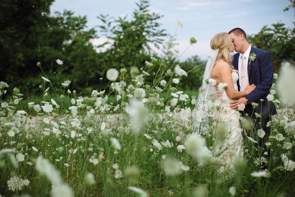 Field by barn