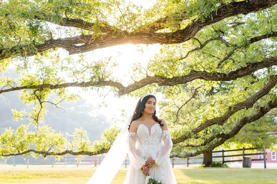 Under the oak