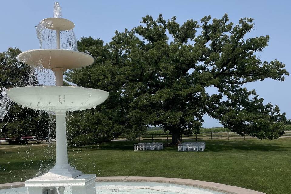 Fountain and oak tree