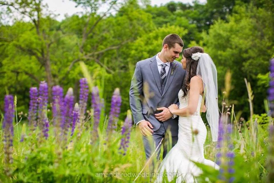 Couple in a lavender field