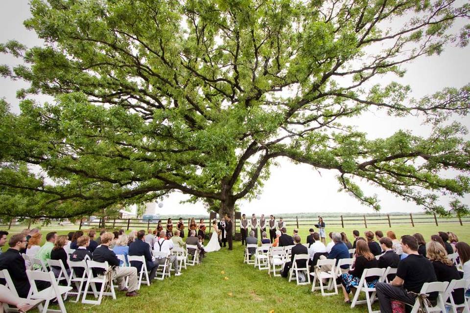 Sugarland Barn Weddings