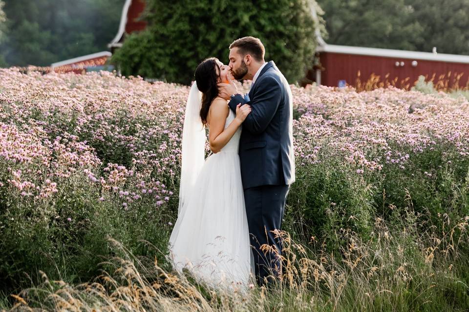 Field in-front of barn