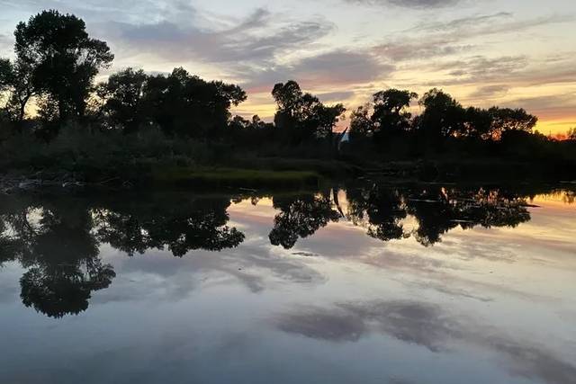 Pond