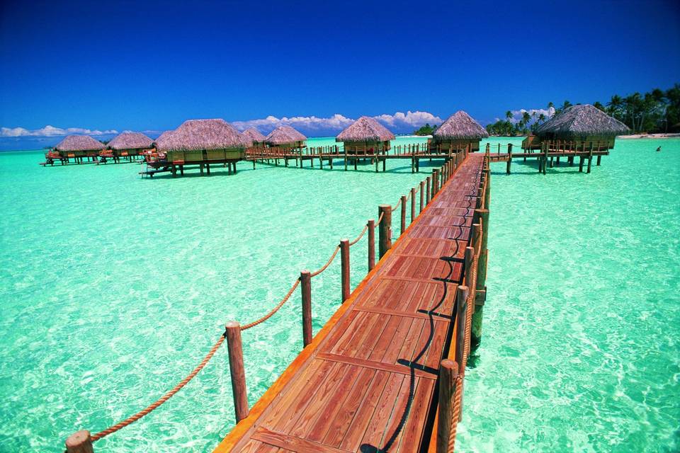 Destiny Sands Travel Group
