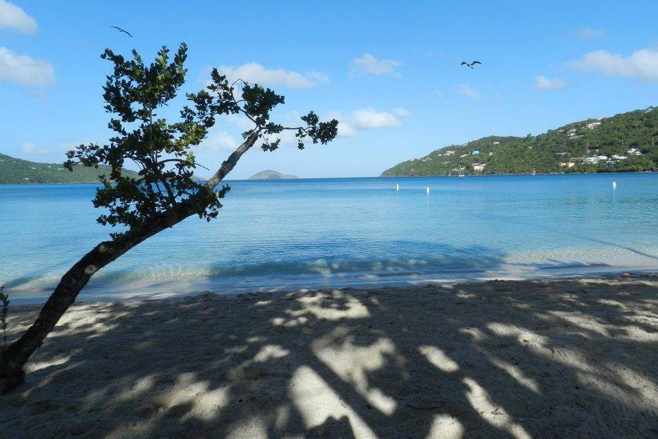 Destiny Sands Travel Group