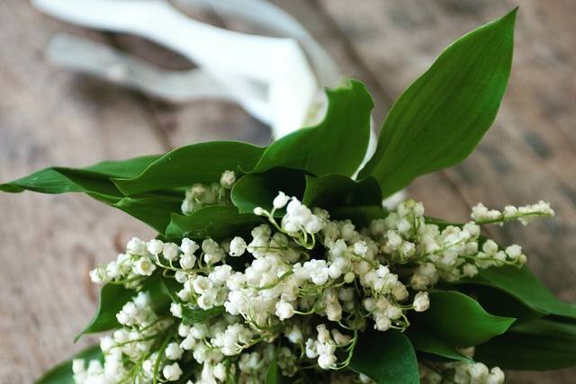 Fleurish