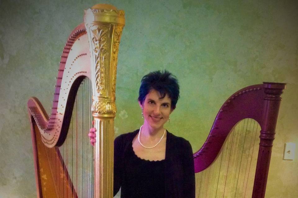 Ariel Fulford, Harpist