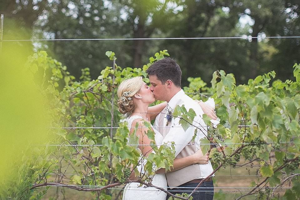 Vineyard wedding by Katie Fears Photographer