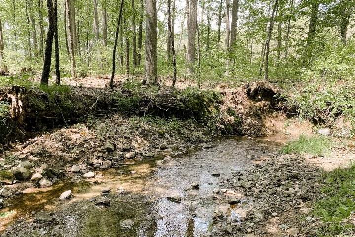 Creek running through the property