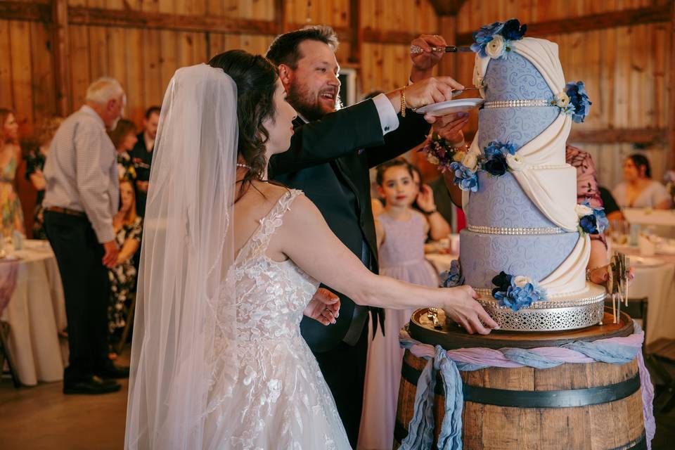 Cake Cutting