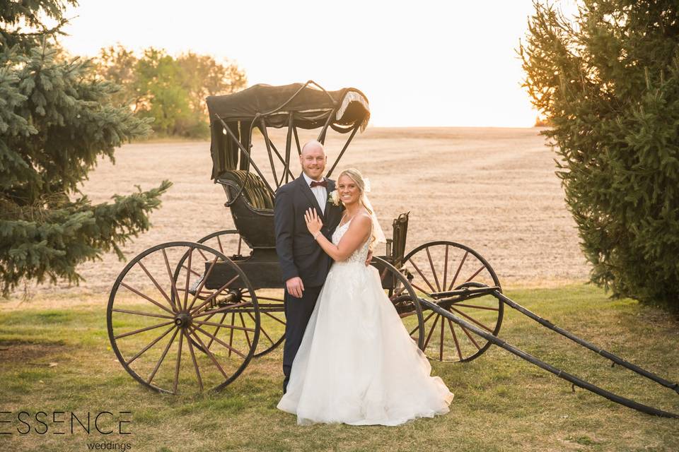 Carriage Portrait