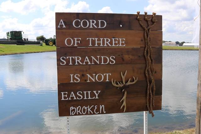 Scenery shot at Lake