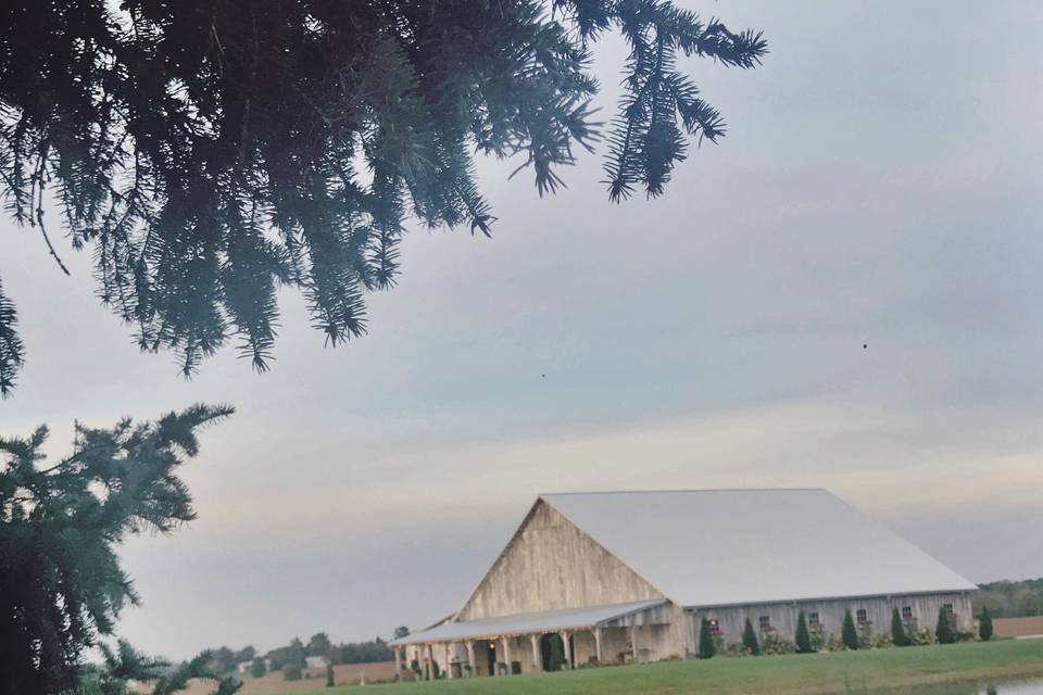 The Barn on Boundary