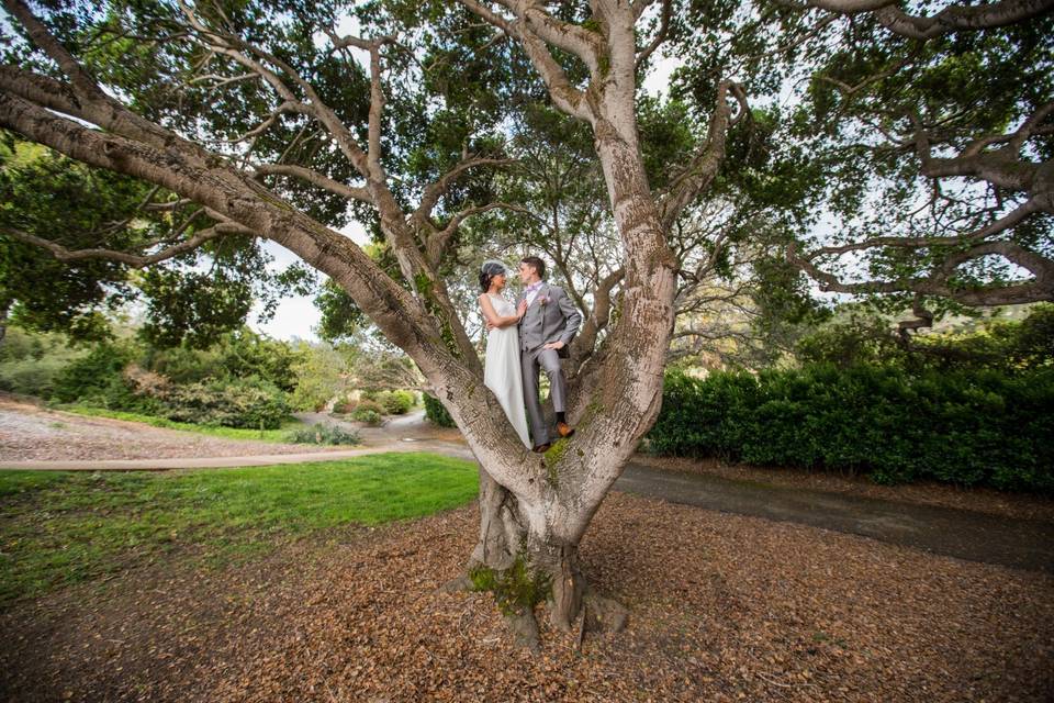 Carmel Fields by Wedgewood Weddings