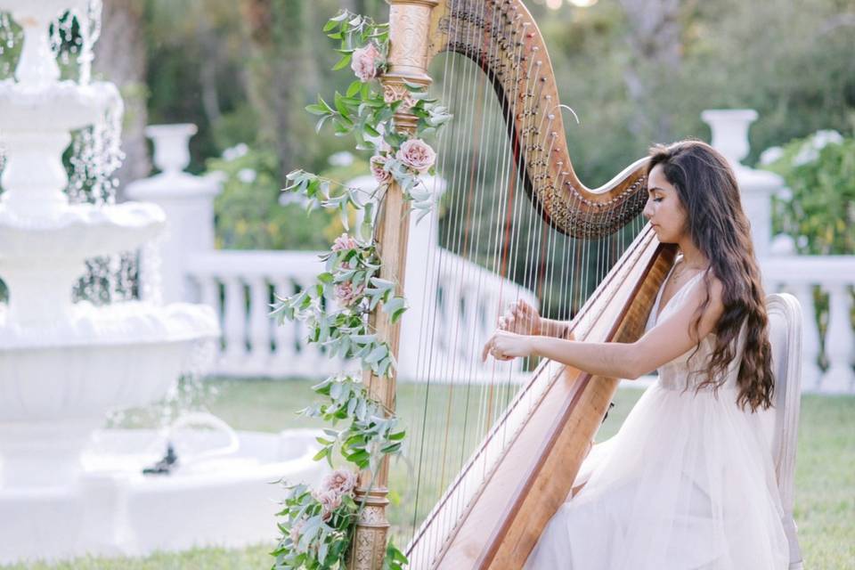 Solo Harp at La Casa Toscana