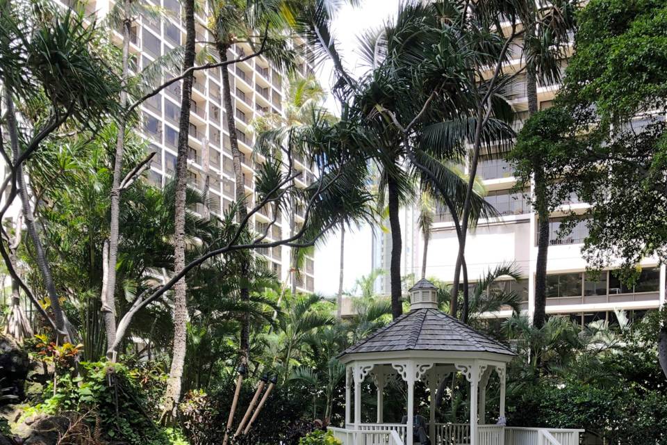 Aloha in the garden