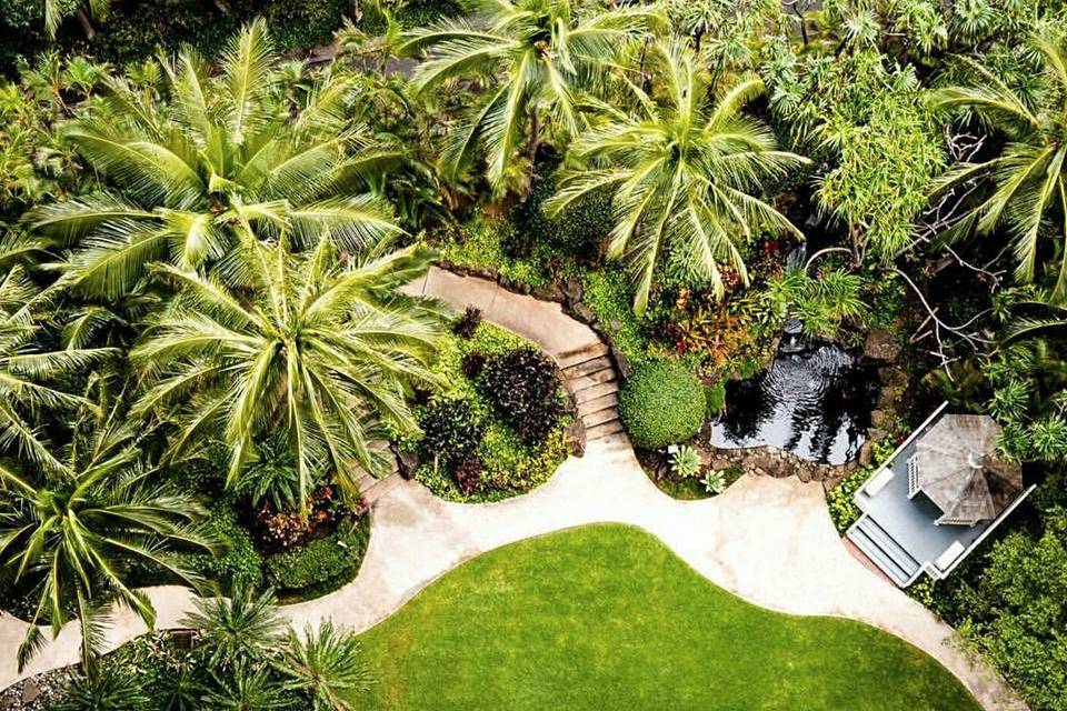 Garden courtyard- aerial view