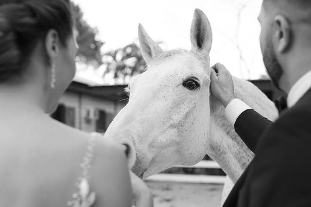 Wedding couple