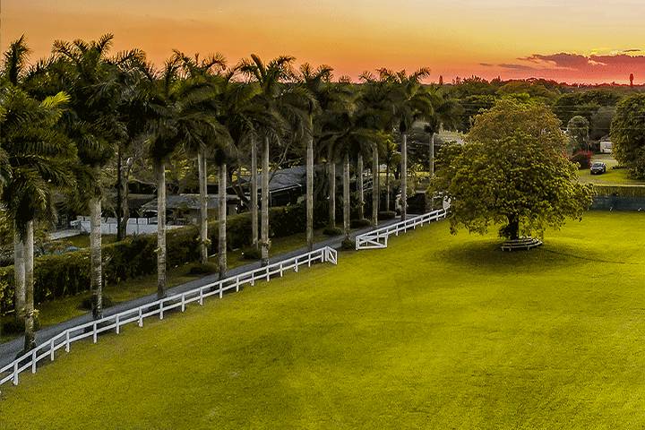 Hacienda Royal Sunset