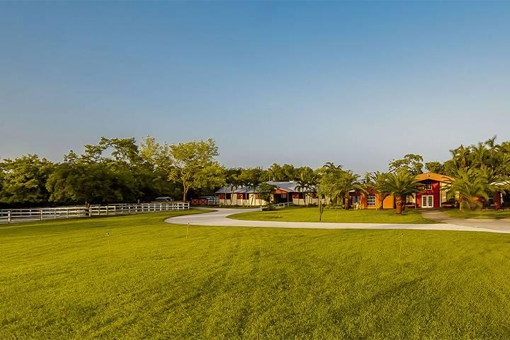 The Estate