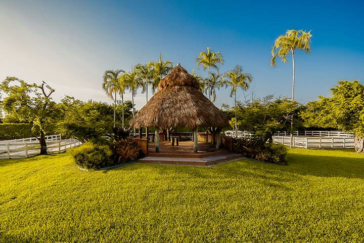 The Tiki Hut