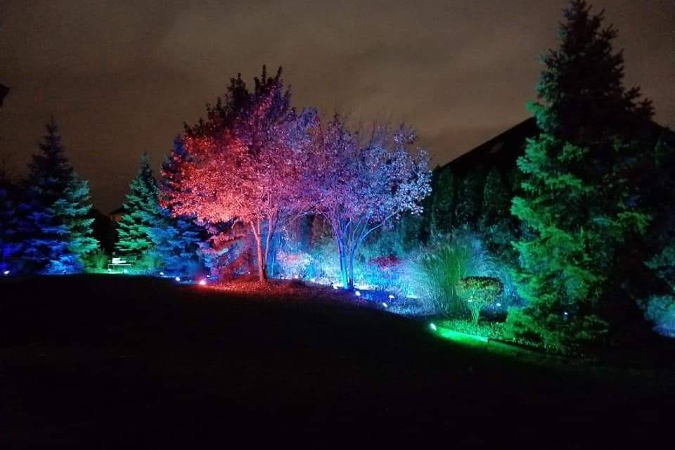 Event - Tree Wash Lighting