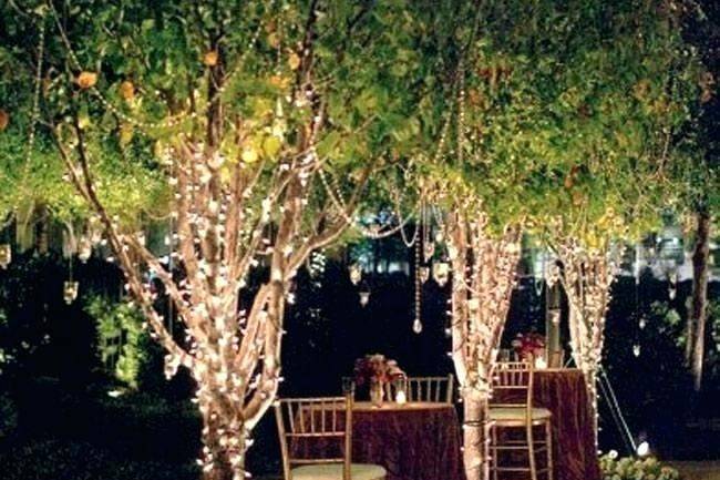 Tree Wraps / Bistro Lights