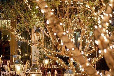 Tree Wraps / Bistro Lights