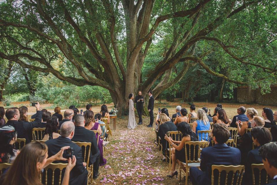 Ceremony under the oak trees