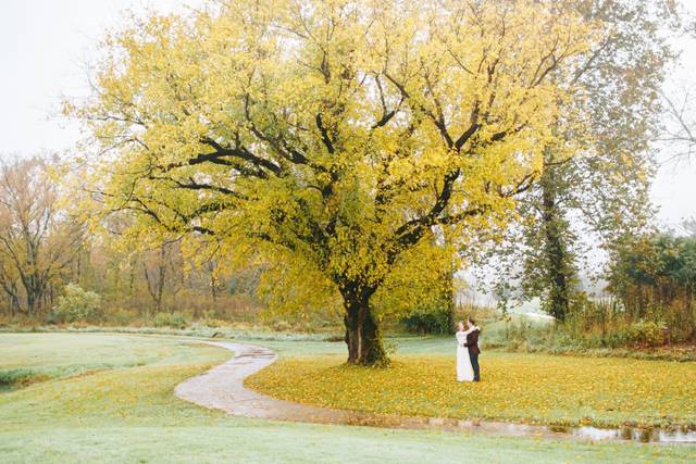 Under a romantic tree