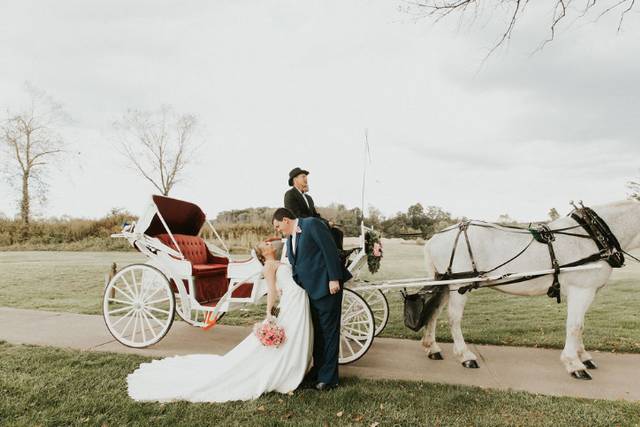 Just married