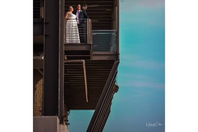 Michael Ellis Photo & Video