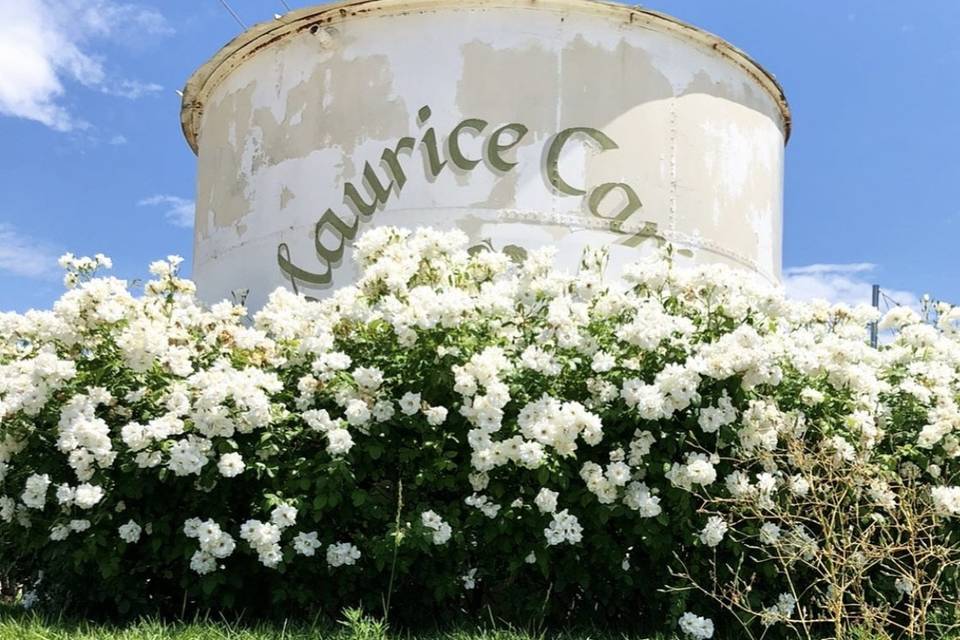 Maurice Carrie Winery