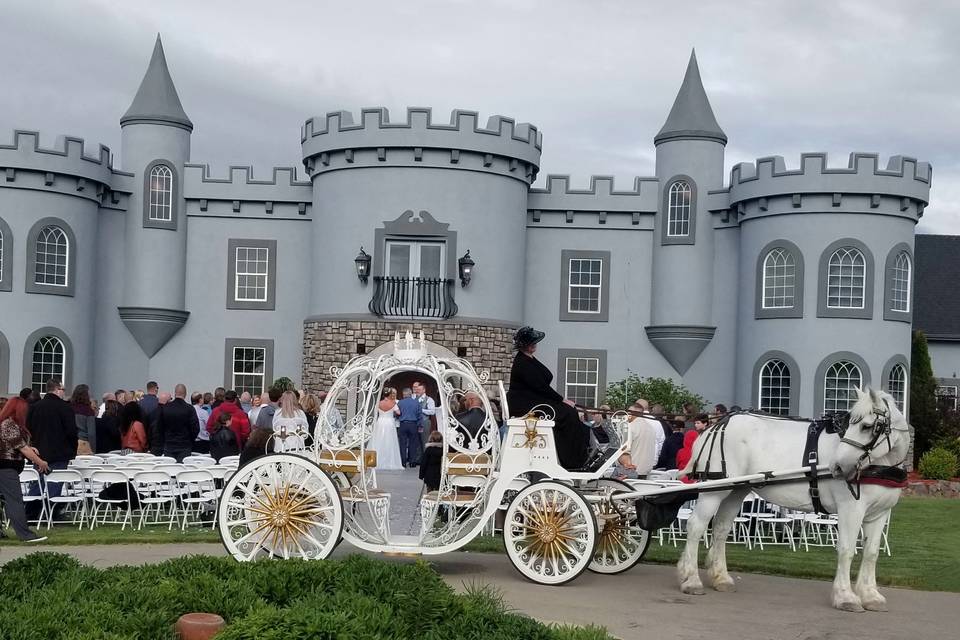 Cinderella Carriage Kuna