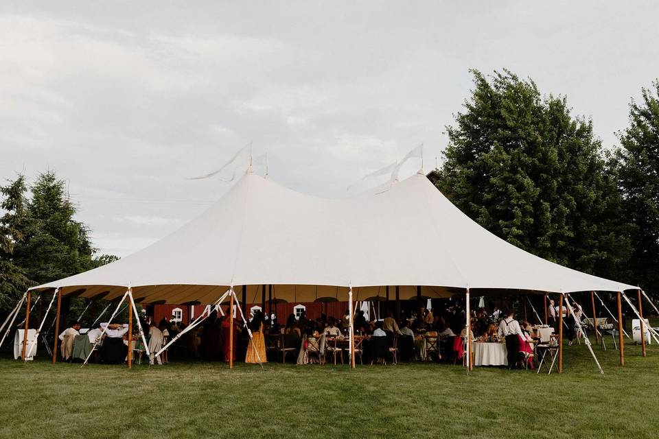 Wedding Day