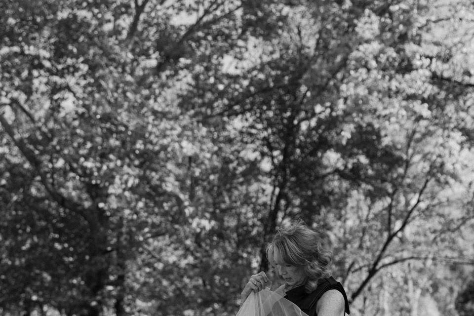 Wedding Day